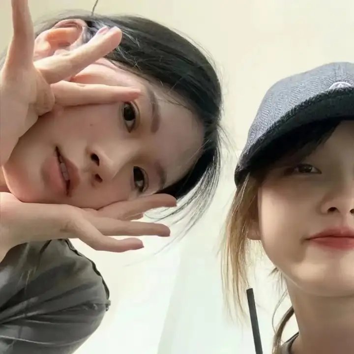 树篱女巫